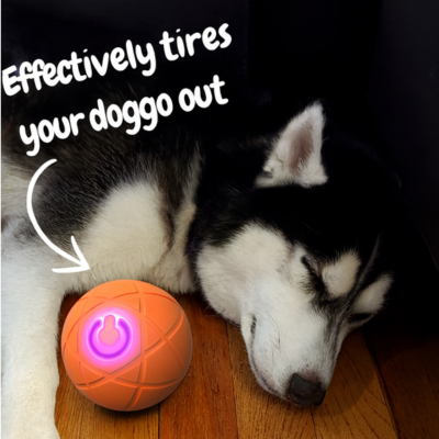 HappyPaw Ball™ – Smart Interactive Dog Toy for Active & Healthy Pets